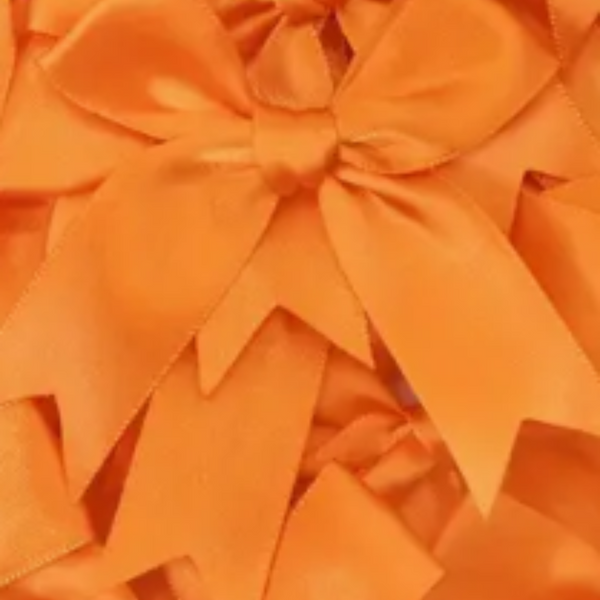 12 Ct Orange Bow Satin Ribbon