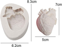 Anatomical Human Heart Silicone Mold
